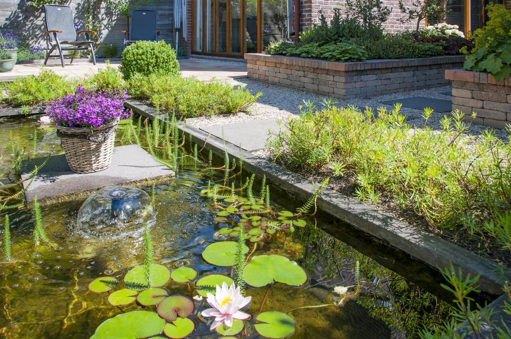 Tuinontwerp ervaring